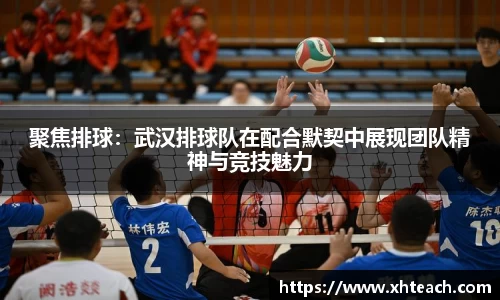 聚焦排球：武汉排球队在配合默契中展现团队精神与竞技魅力