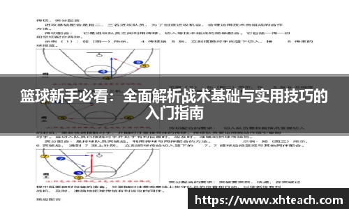 篮球新手必看：全面解析战术基础与实用技巧的入门指南