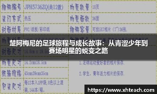 BWIN网站